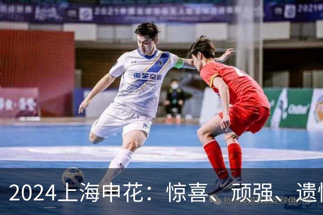 2024上海申花：惊喜、顽强、遗憾--明年拿冠军